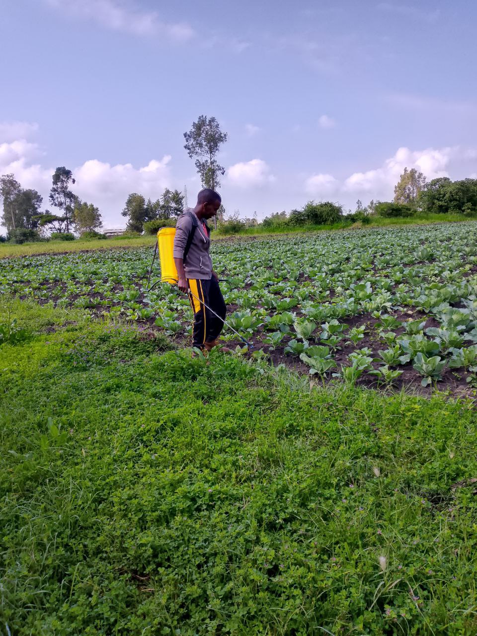Farming Application